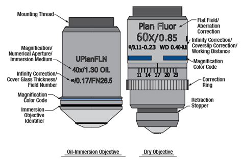 what is the scanning objective on a microscope|1.4: Microscopy .